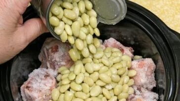 Slow Cooker Labor Day Beef and Bean Stew